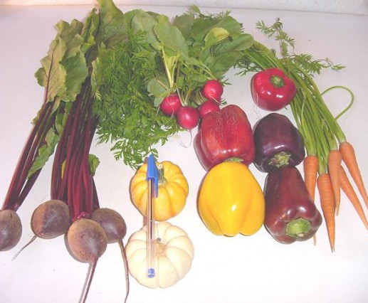 Mini legumes variados
